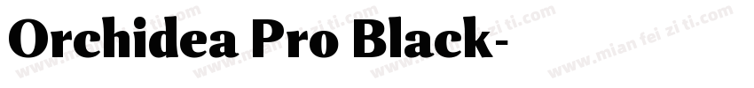 Orchidea Pro Black字体转换
